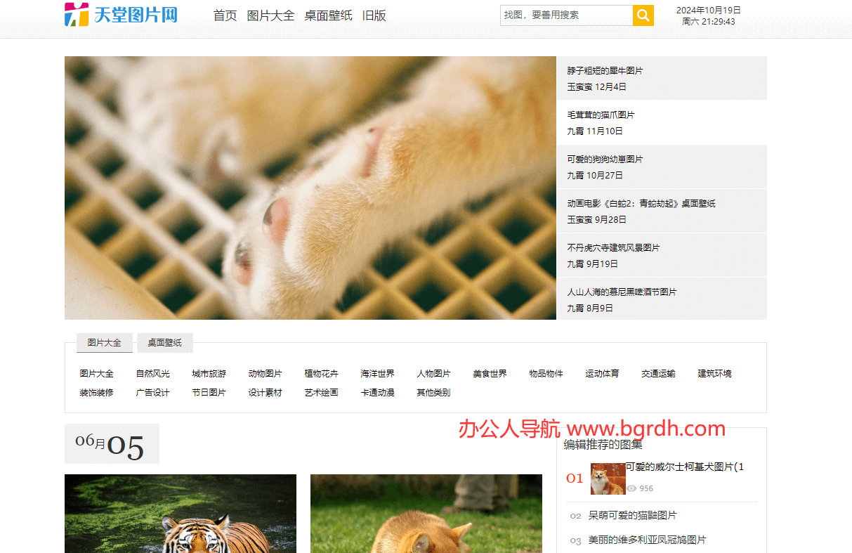天堂图片网插图