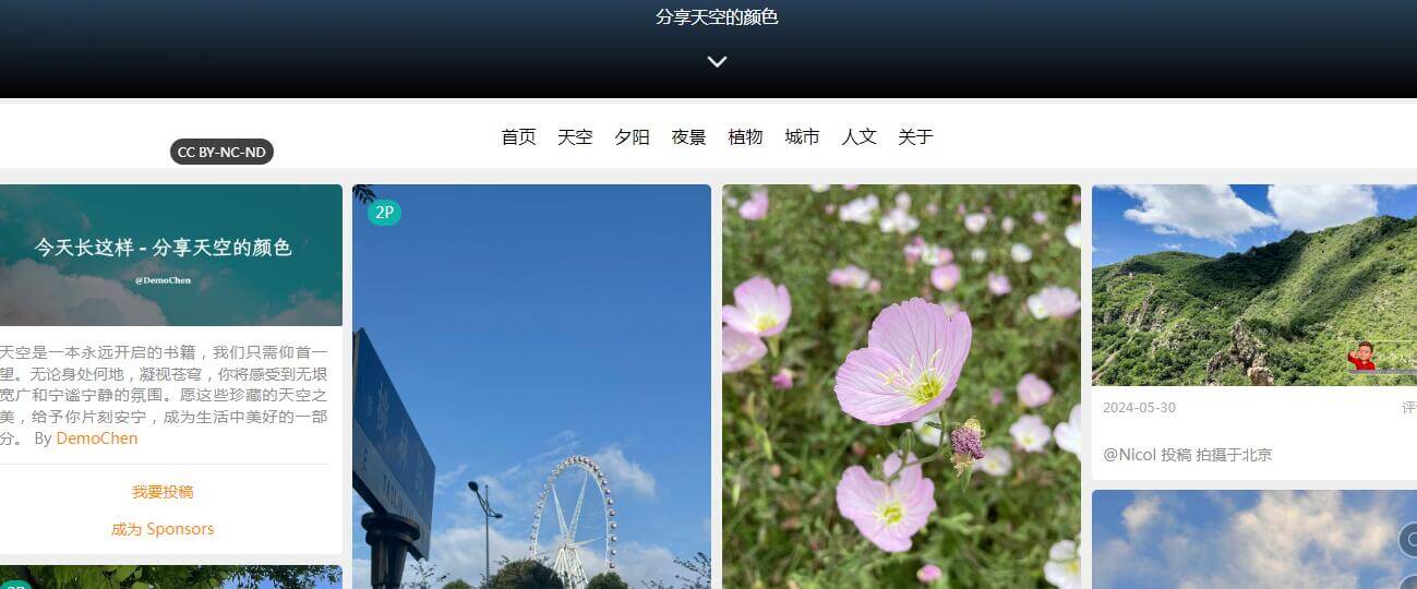 今天长这样插图