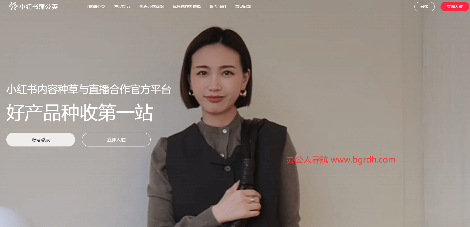 小红书蒲公英插图