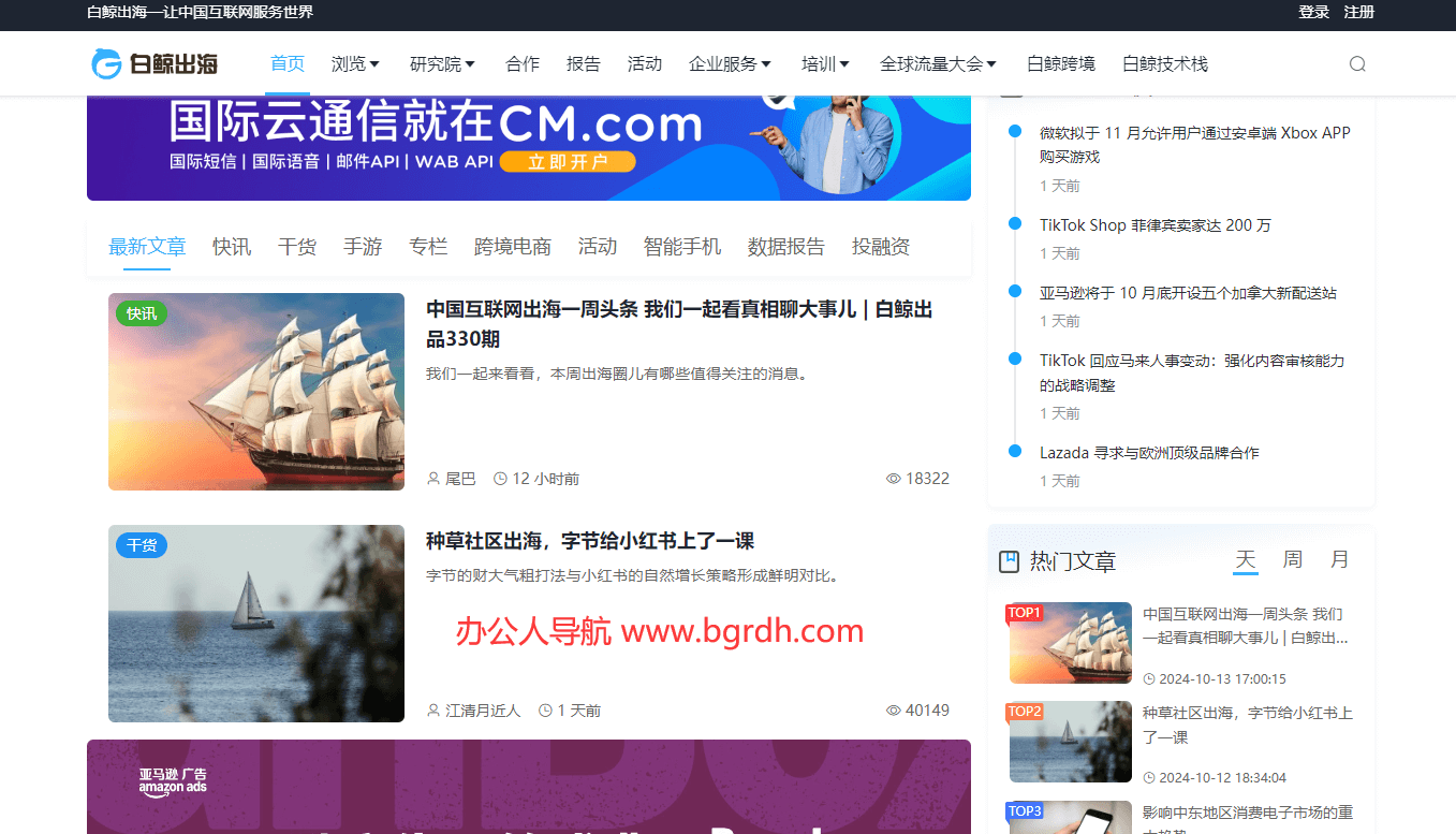白鲸出海插图