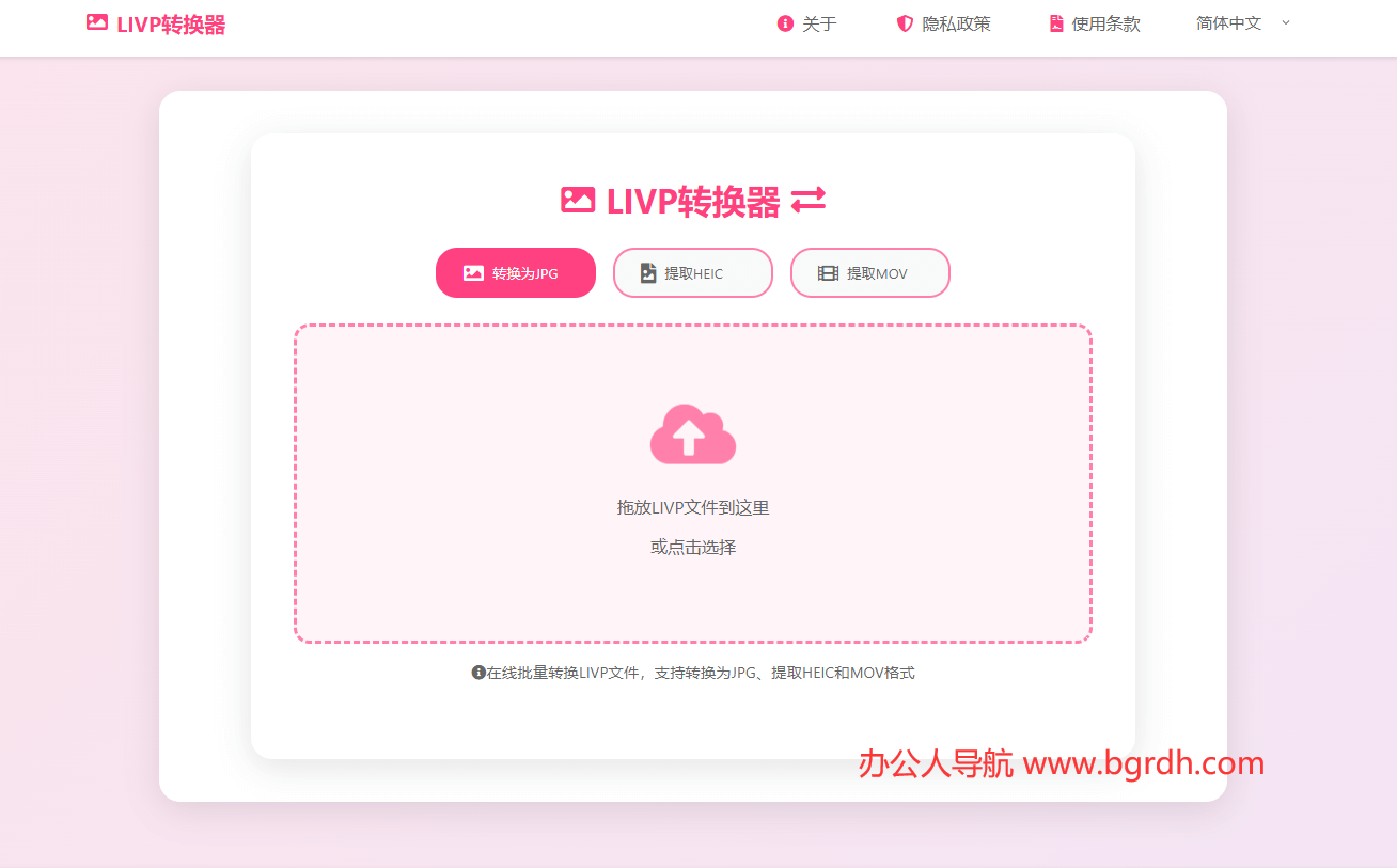 LIVP转换器插图