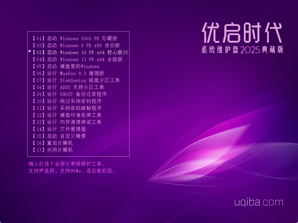 优启时代系统维护盘插图