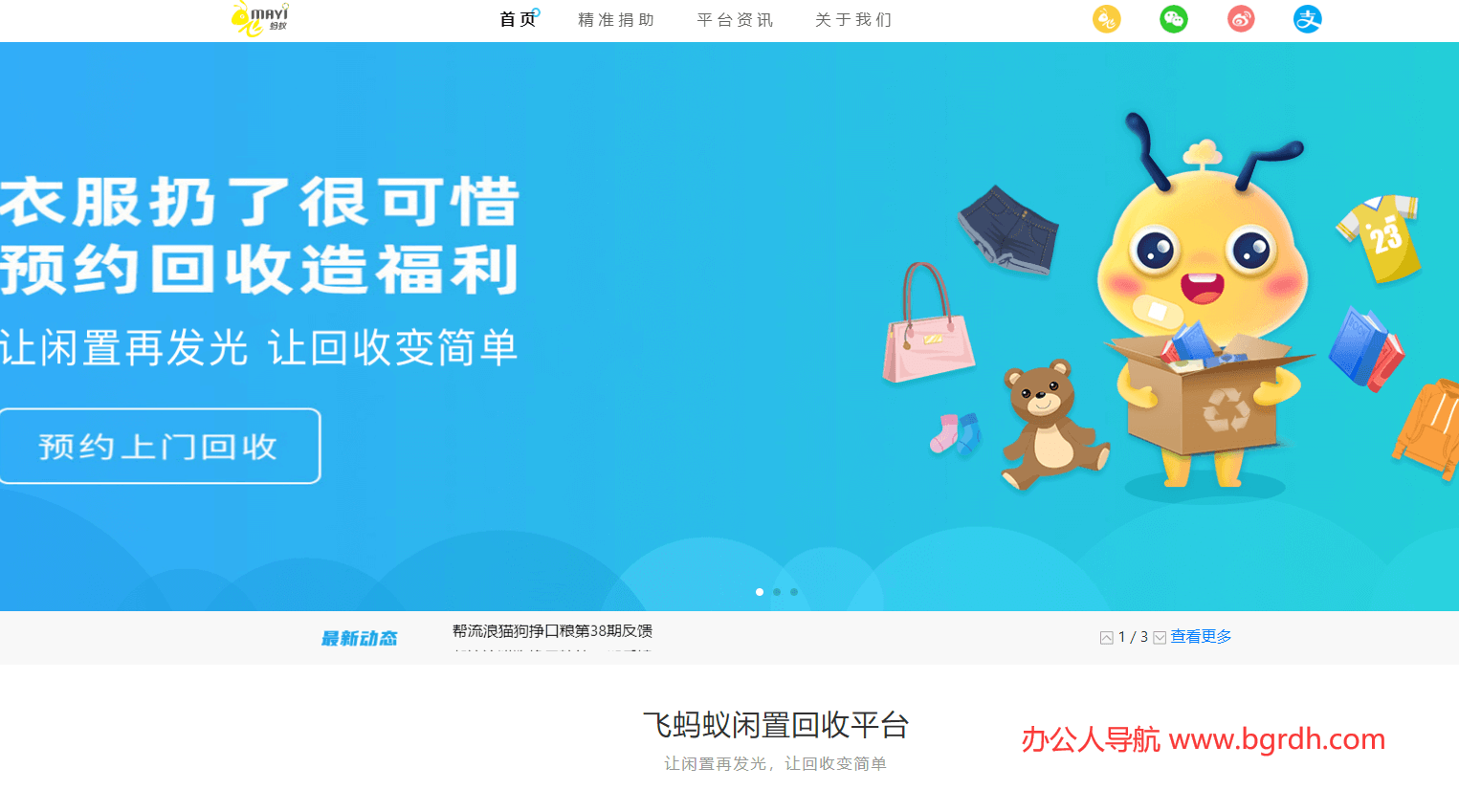 飞蚂蚁插图