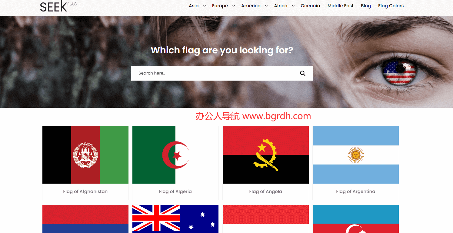 SEEK FLAG插图1