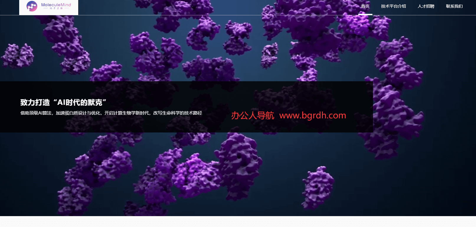 分子之心插图