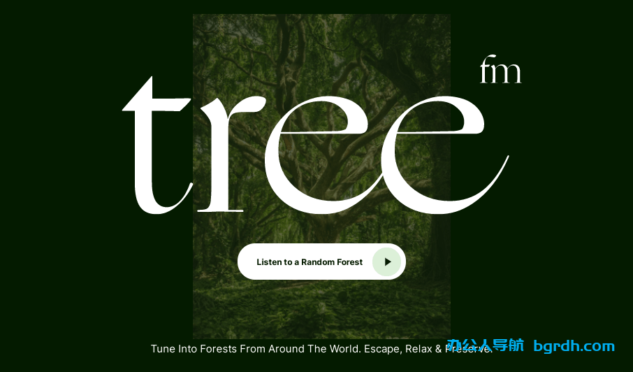 tree.fm插图