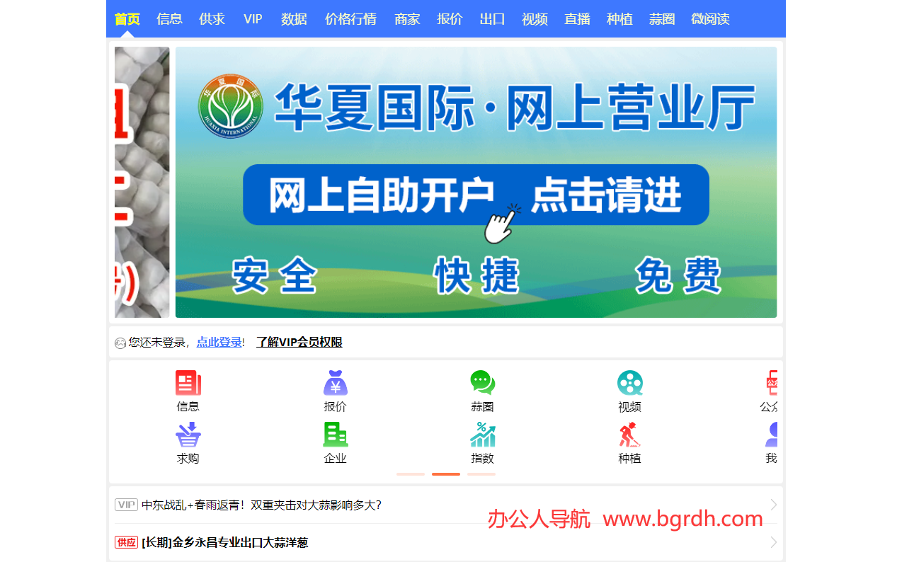 国际大蒜贸易网插图