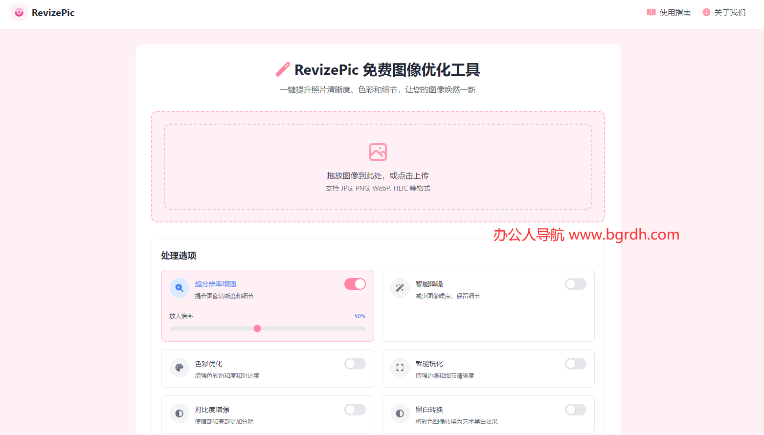 RevizePic插图
