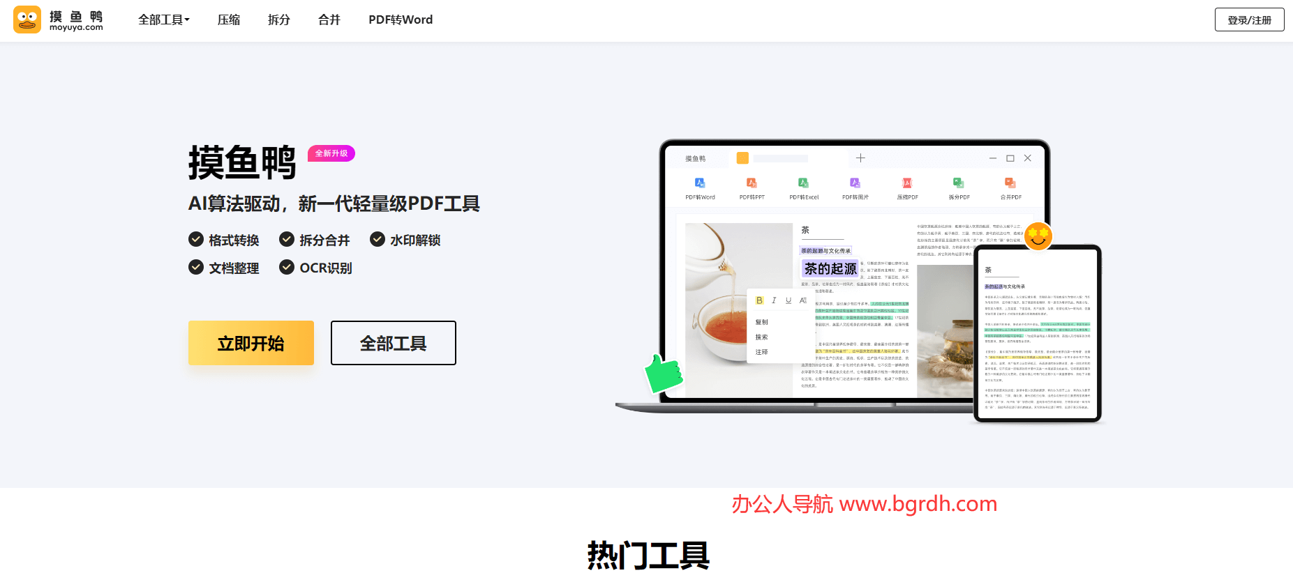 摸鱼鸭插图
