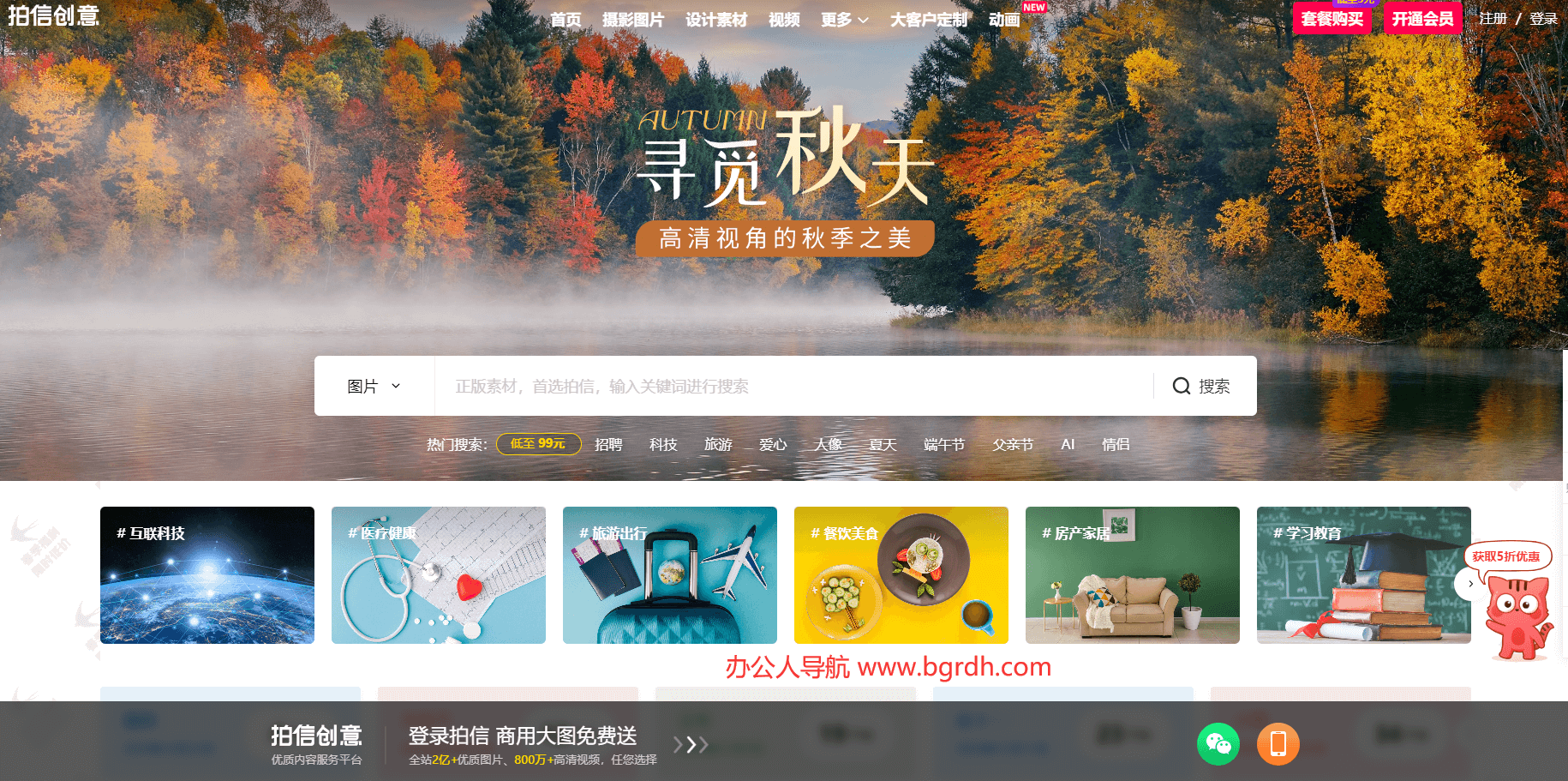 拍信创意插图