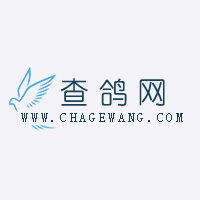 查鸽网