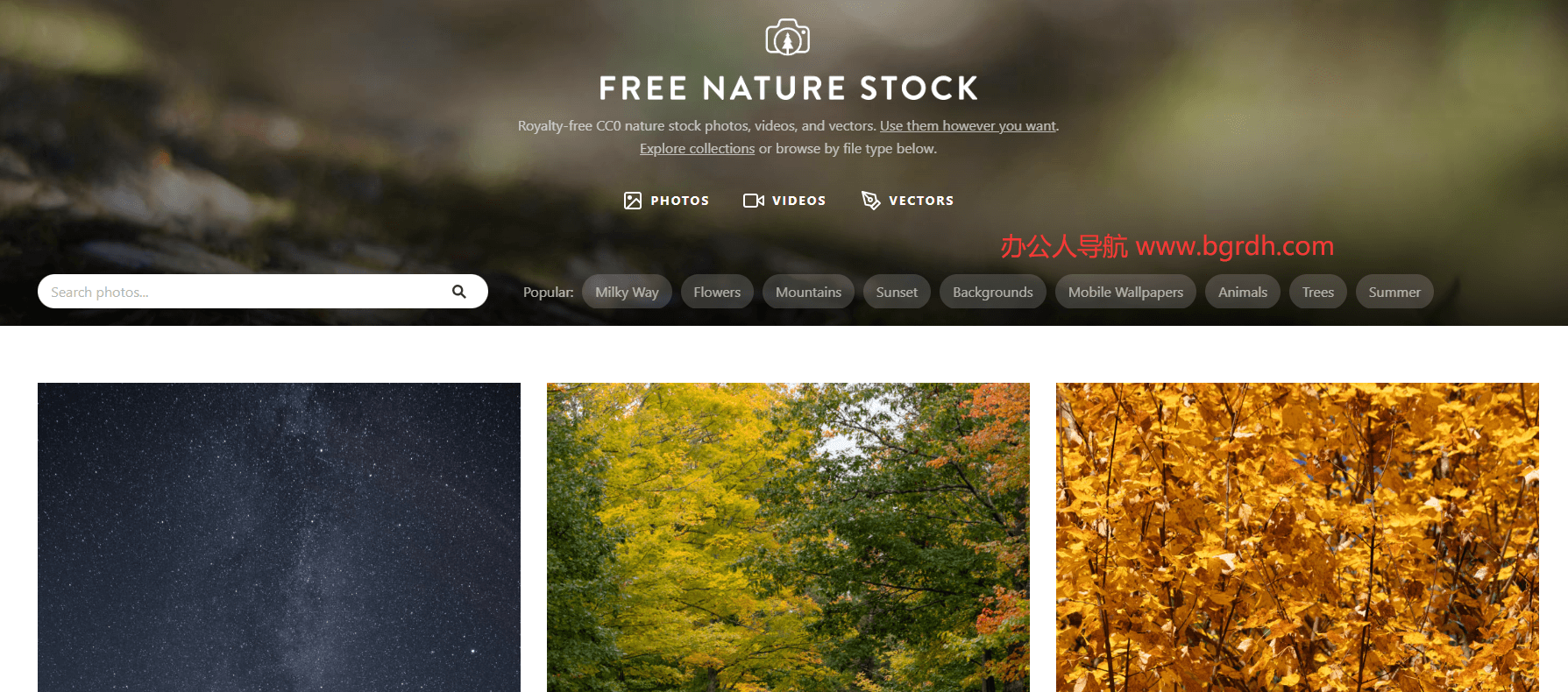 FreeNatureStock插图