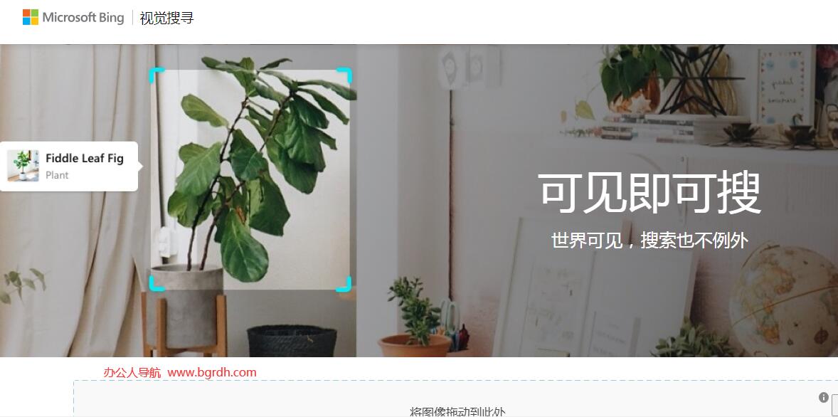 bing搜图插图