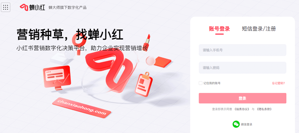 蝉小红插图