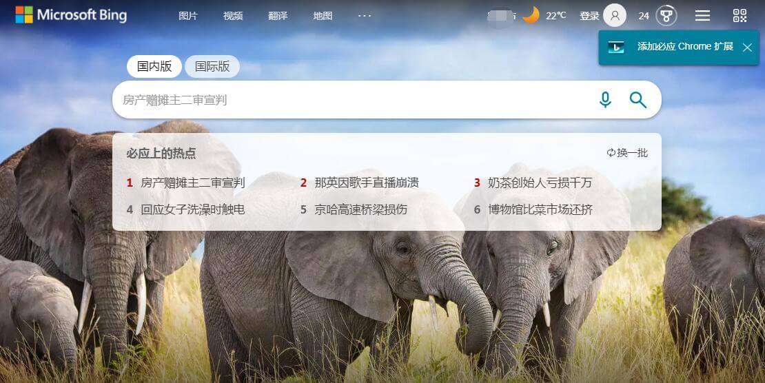 Bing插图