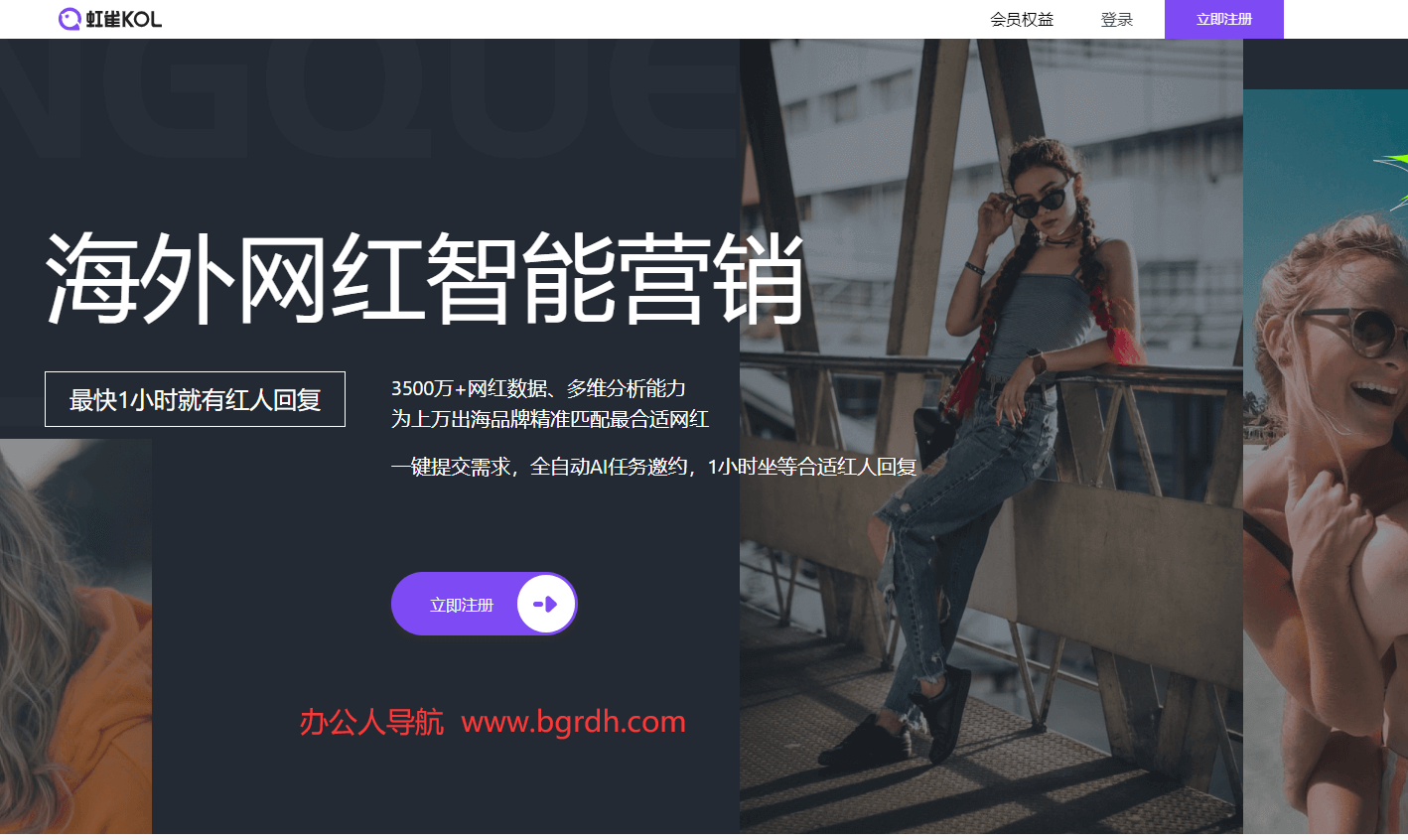 虹雀KOL插图