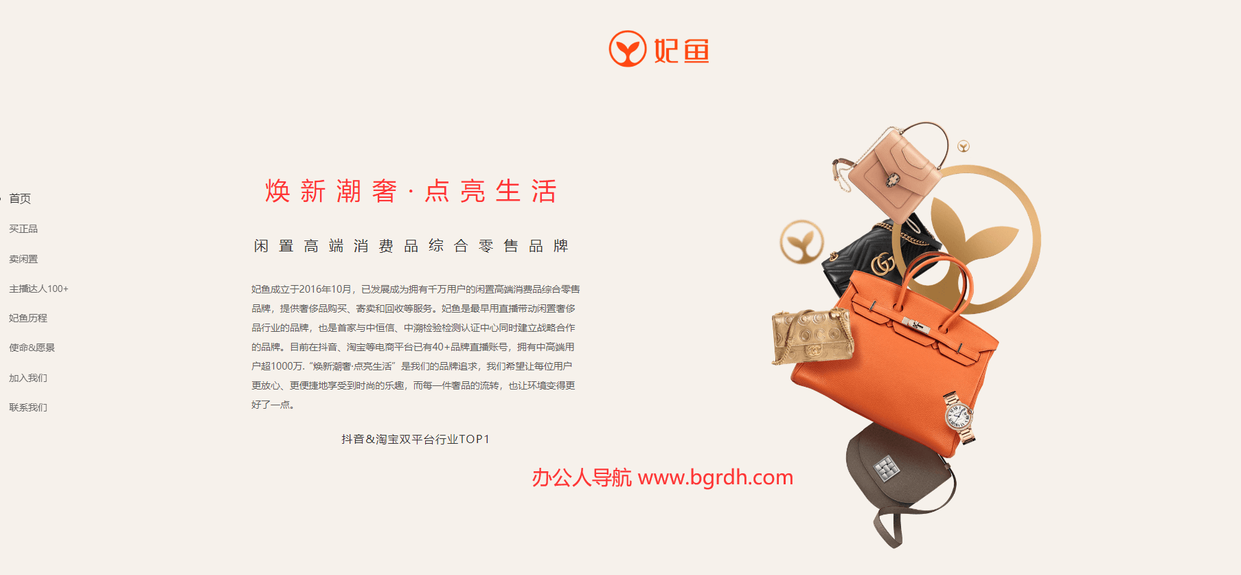 妃鱼插图