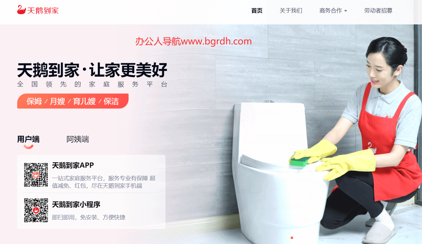 天鹅到家插图