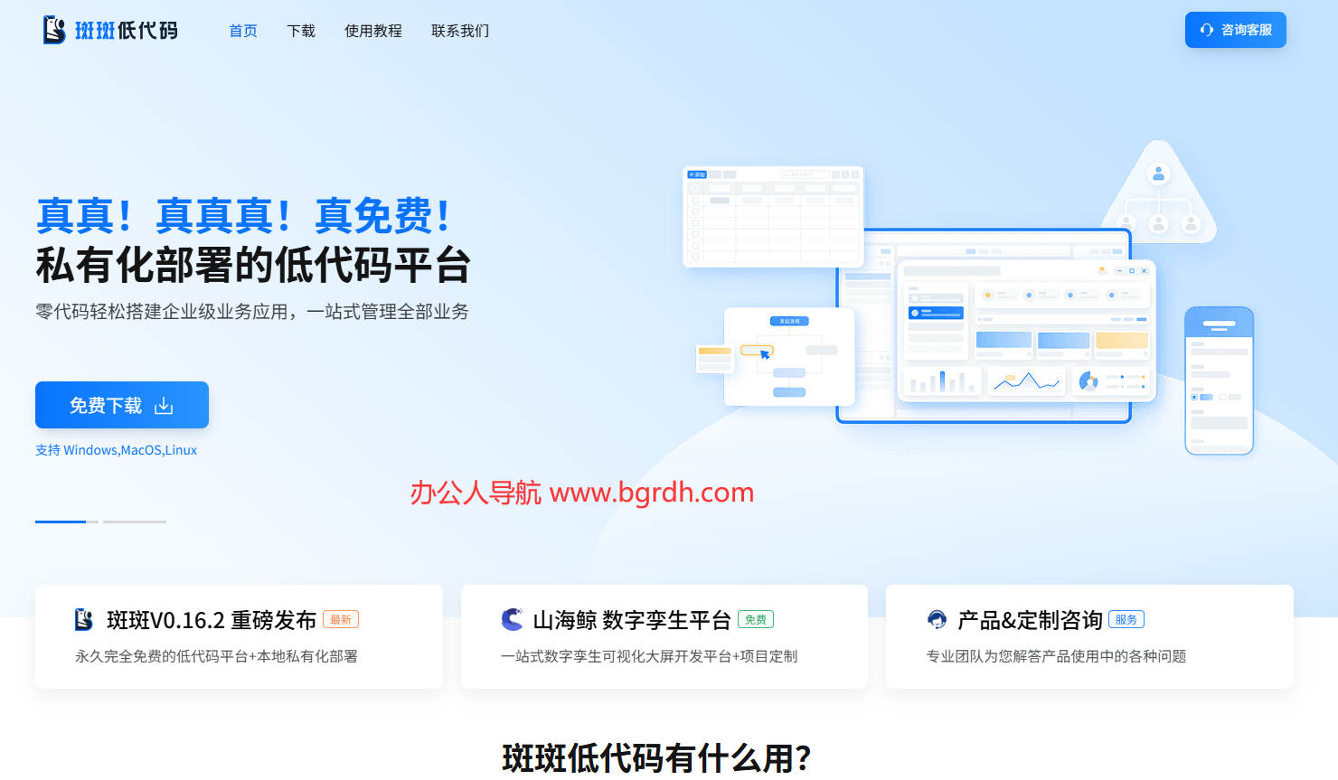 斑斑低代码插图